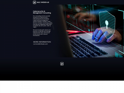 mileab.com snapshot