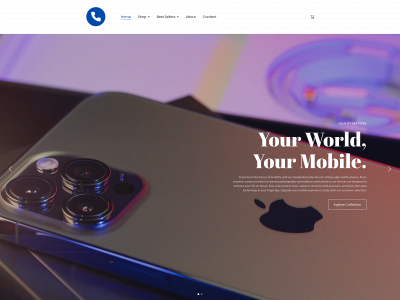 phoneflip.online snapshot