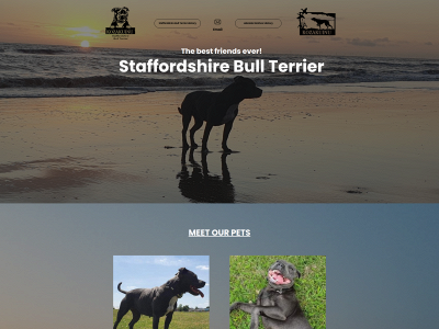 staffy.family snapshot