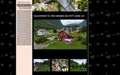 mettes-ting-og-tang.com snapshot