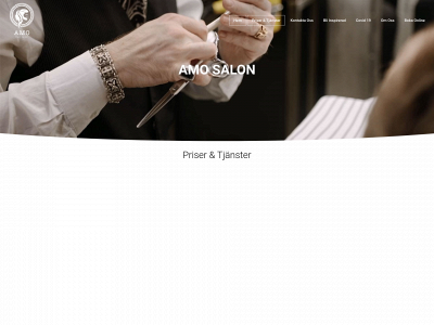 amosalon.se snapshot