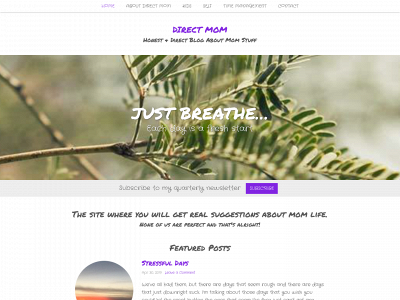 directmom.com snapshot