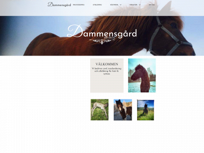 dammensgard.se snapshot