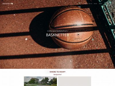 basknetter.be snapshot