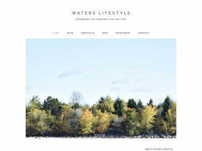 waterslifestyle.com snapshot