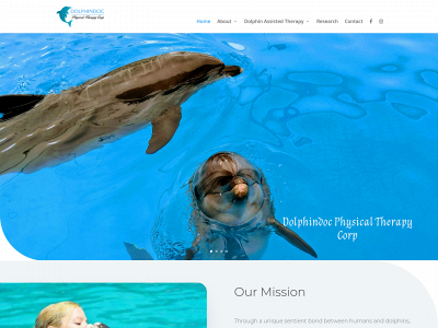dolphindoc.com snapshot