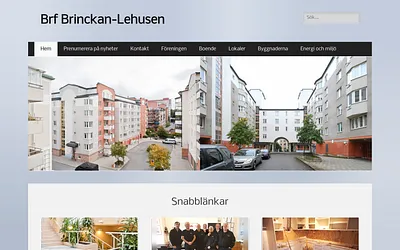 brinckanlehusen.se snapshot