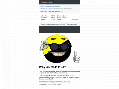 ancap-pool.com snapshot