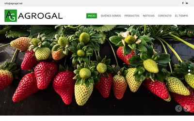agrogal.net snapshot