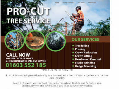 pro-cuttreeservice.co.uk snapshot