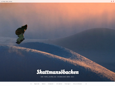 skattman.nu snapshot