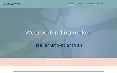 belivingstone.nl snapshot