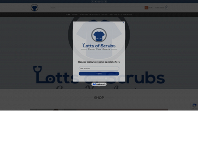 lottsofscrubs.com snapshot