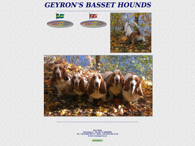 geyrons.se snapshot
