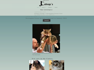 justcatnaps.se snapshot