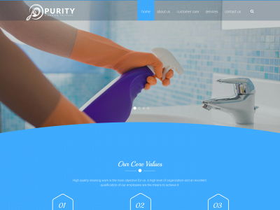 purityae.com snapshot