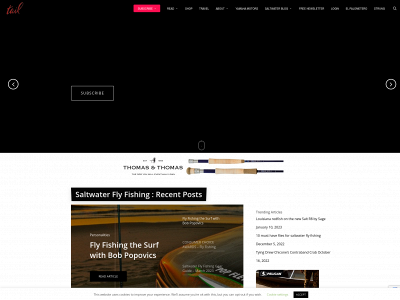 tailflyfishing.com snapshot