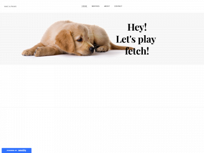 proteccionpeatonal.weebly.com snapshot