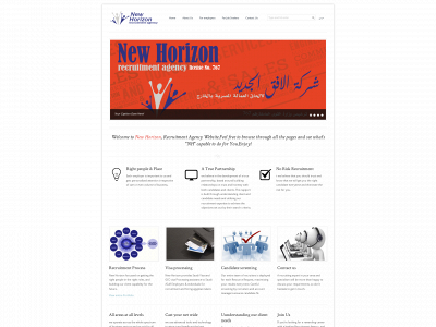 nhegypt.com snapshot