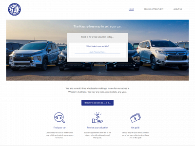 truebluecars.net snapshot