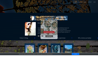 iroara.weebly.com snapshot
