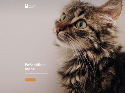 pazenklinkmane.lt snapshot