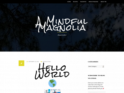 amindfulmagnolia.com snapshot