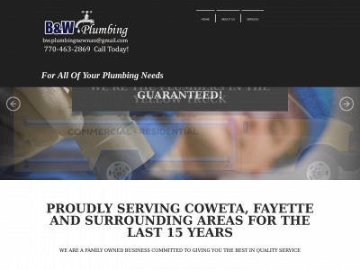 bwplumbingservice.com snapshot