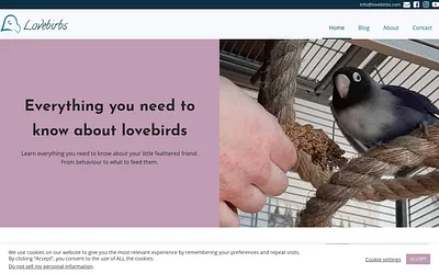 lovebirbs.com snapshot