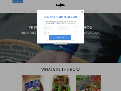 www.freshflies.com snapshot