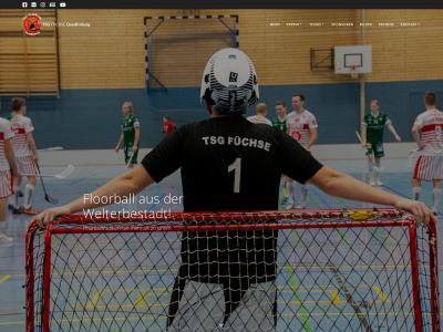 tsg-floorball.de snapshot