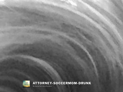 drunksoccermomattorney.com snapshot