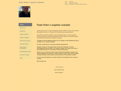 pederrobin.dk snapshot