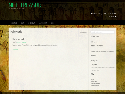 niletreasure.com snapshot