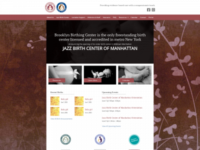 brooklynbirthingcenter.com snapshot