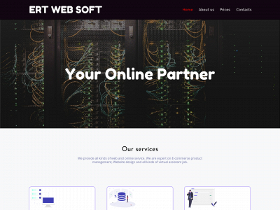 ertwebsoft.com snapshot