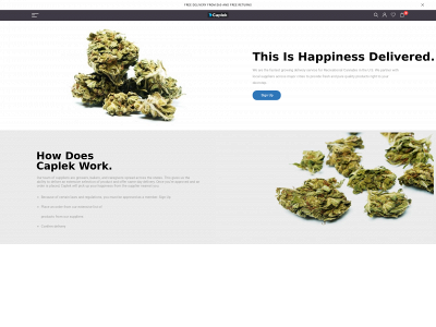 potvincleaning.com snapshot