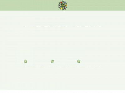 frutoni.de snapshot