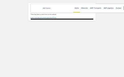 amfexpress.com snapshot