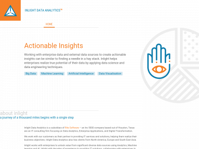 inlightdata.com snapshot