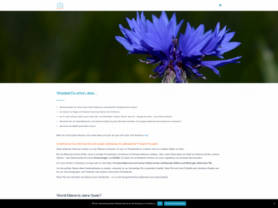 seelenfutter.online snapshot