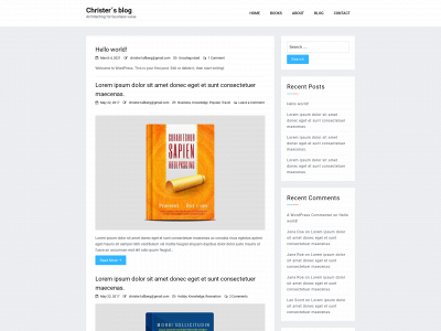 christerthearchitect.com snapshot
