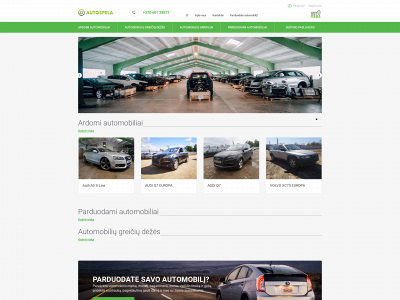 autospela.lt snapshot
