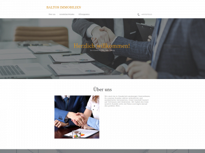 baltos.de snapshot
