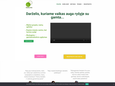 stebuklusalis.lt snapshot