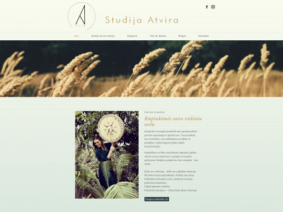 studijaatvira.lt snapshot