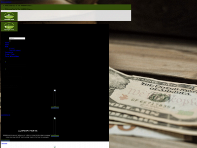 nyssyn.com snapshot