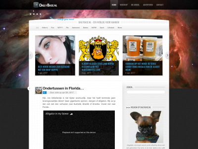 dailybase.nl snapshot