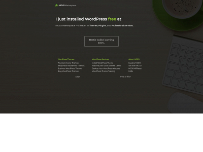 bertiecolibri.com snapshot