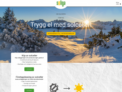 soliga.se snapshot